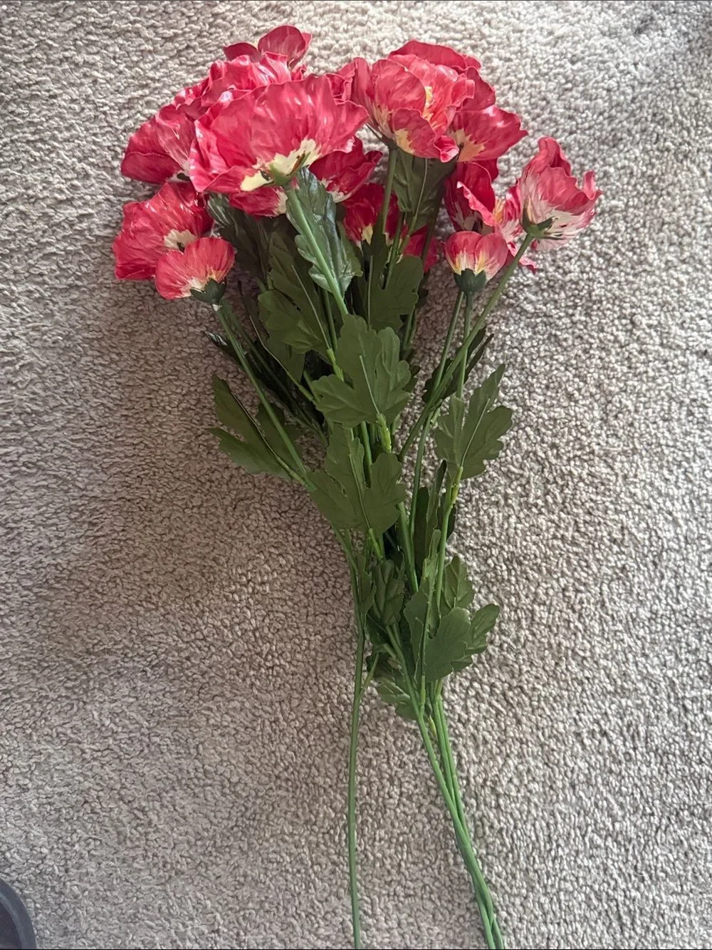 Red Hand Painted Poppy Stem Bouquet!